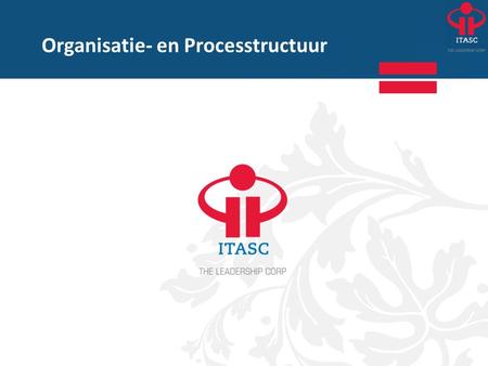 Organisatie- en Processtructuur