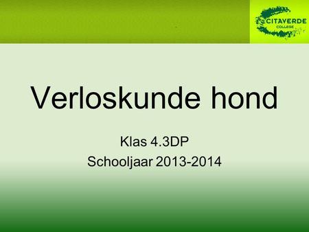 Verloskunde hond Klas 4.3DP Schooljaar 2013-2014.