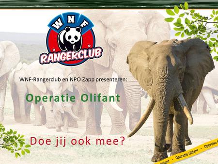 Doe jij ook mee? WNF-Rangerclub en NPO Zapp presenteren: Operatie Olifant.