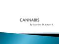 By Laurens D. &Yuri K..  Softdrug  Fijngehakte vrouwelijke bloemen  Cannabis sativa  Geestveruimende werking  Oorsprong west en centraal Azie.