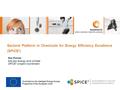 Sectoral Platform in Chemicals for Energy Efficiency Excellence (SPiCE 3 ) Ilse Forrez Advisor energy and climate SPiCE 3 project coordinator.