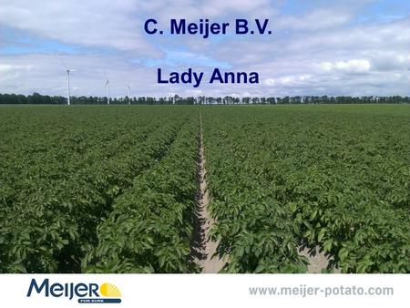 C. Meijer B.V. Lady Anna. Use what you produce! Lady Anna de nieuwe generatie Retail, foodservice, fastfood en tafelmarkt/ thuisfriet (België). Zeer.