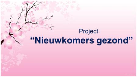 Project Project “Nieuwkomers gezond”. Gezondheids Vaardigheden.