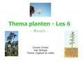 Thema planten - Les 6 - Wortels -