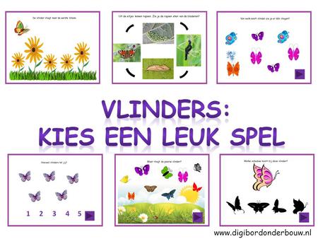 www.digibordonderbouw.nl De vlinder vliegt naar de eerste bloem.
