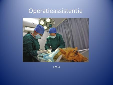 Operatieassistentie Les 3. Wat moet je kennen/kunnen? Afspraak inplannen en informeren eigenaar Ontvangst van de patiënt en de eigenaar Voorbereiding.