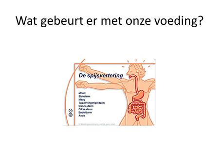 Wat gebeurt er met onze voeding?. Opdracht Schrijf 5 woorden op die je niet kent en zoek het in je woordenboek op.