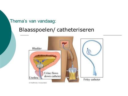 Blaasspoelen/ catheteriseren