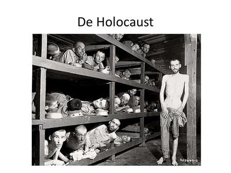 De Holocaust.