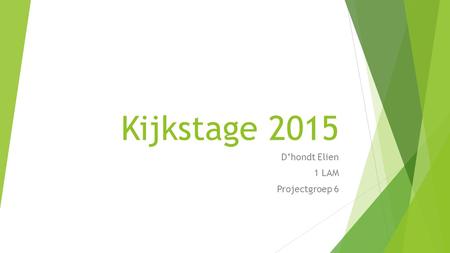 Kijkstage 2015 D’hondt Elien 1 LAM Projectgroep 6.