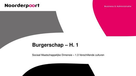 Sociaal Maatschappelijke Dimensie – 1.3 Verschillende culturen