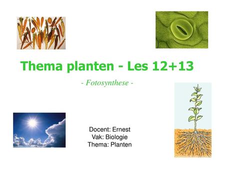 Thema planten - Les Fotosynthese -