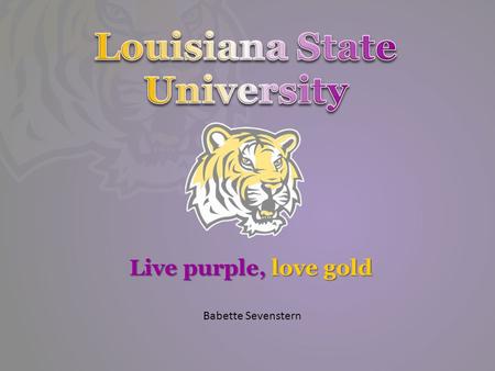 Live purple, love gold Babette Sevenstern. USA  /best-colleges/rankings/national-universities.