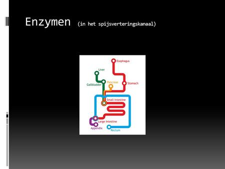 Enzymen (in het spijsverteringskanaal)