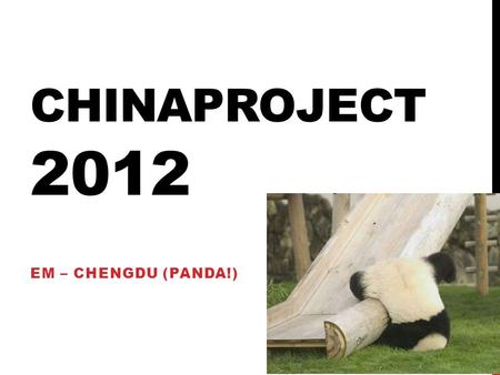 Chinaproject 2012 EM – ChengDu (Panda!).