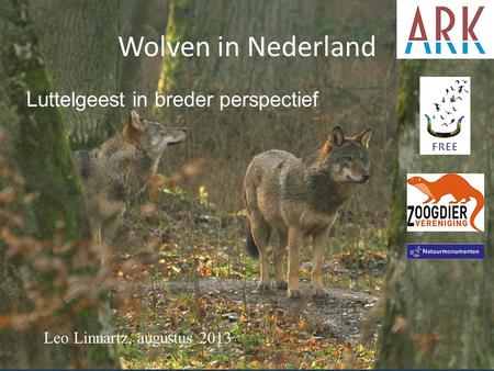 Wolven in Nederland Luttelgeest in breder perspectief