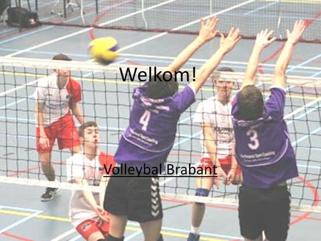 Welkom!   Volleybal Brabant.