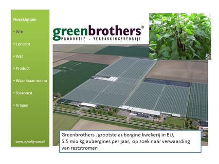 Greenbrothers , grootste aubergine kwekerij in EU,