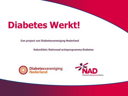 Diabetes Werkt! Een project van Diabetesvereniging Nederland