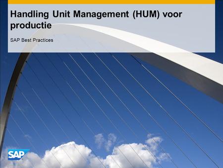 Handling Unit Management (HUM) voor productie