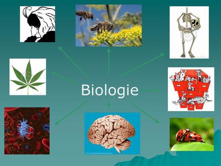 Biologie.