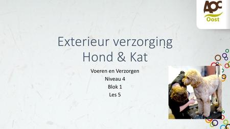 Exterieur verzorging Hond & Kat