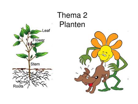 Thema 2 Planten.