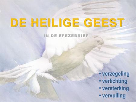 DE HEILIGE GEEST • verzegeling • verlichting • versterking