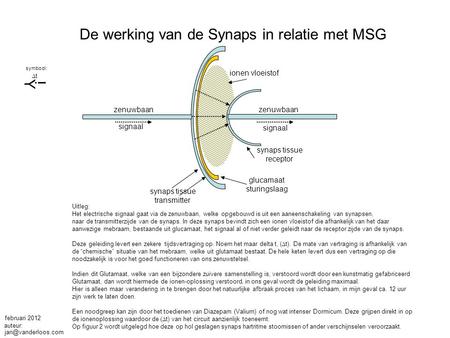 De werking van de Synaps in relatie met MSG