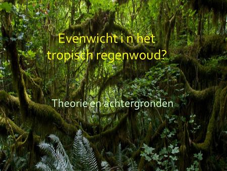 Evenwicht i n het tropisch regenwoud? Theorie en achtergronden