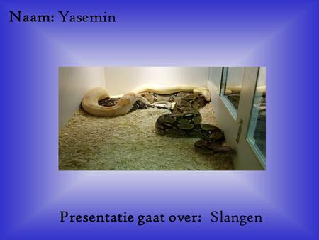 Presentatie gaat over: Slangen