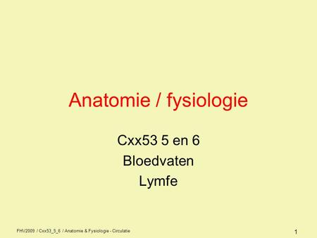 Cxx53 5 en 6 Bloedvaten Lymfe