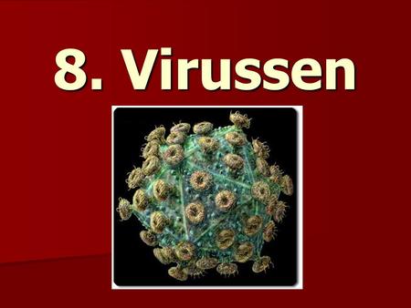 8. Virussen.