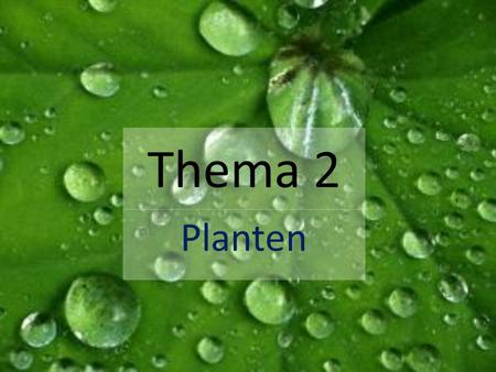 Thema 2 Planten.