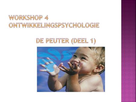 wORKSHOP 4 ontwikkelingspsychologie De PEUTER (deel 1)