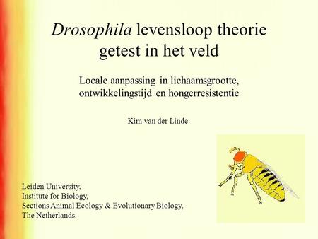 Drosophila levensloop theorie getest in het veld