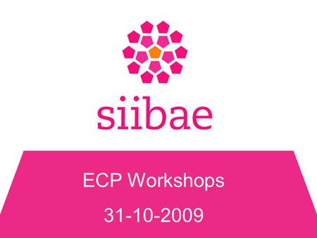 ECP Workshops 31-10-2009. Agenda •Even voorstellen… •Over siibae •Facts & Figures •Video on Demand Oplossingen.