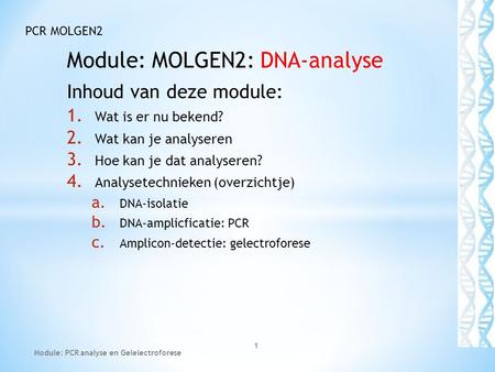 Module: MOLGEN2: DNA-analyse