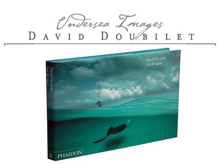 David Doubilet is geboren in New York in 1946, en begon te duiken toen hij amper 8 jaren oud was. Hij heeft 13 jaren lang langs de kust van New Jersey.