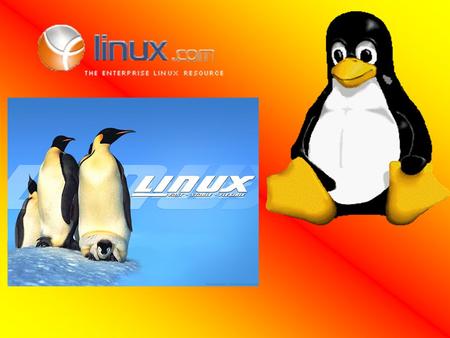 Wel om het kort uit te leggen. Linux is ook een besturingssysteem zoals Windows of Linux alleen dat je dit zelf in elkaar moet knutselen. Wat dat.