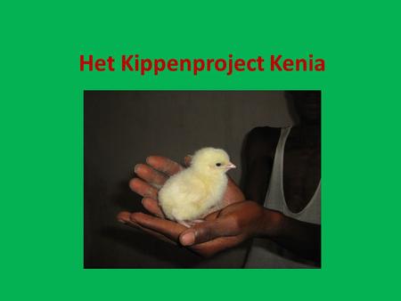 Het Kippenproject Kenia