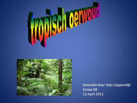 Tropisch oerwoud Gemaakt door Stijn Cappendijk Groep 6B 12 April 2011.