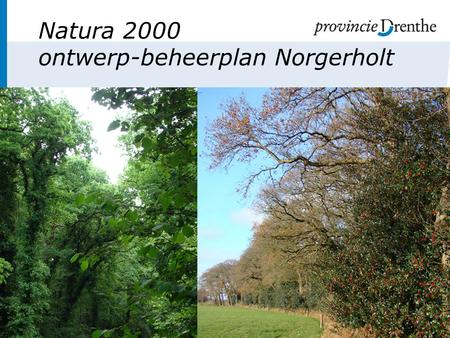 Natura 2000 ontwerp-beheerplan Norgerholt. Overzicht •Introductie •Natura 2000: Europese natuurgebieden •Aanwijzingsprocedure •Opstellen beheerplan 2008.