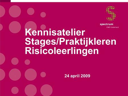 Kennisatelier Stages/Praktijkleren Risicoleerlingen 24 april 2009.