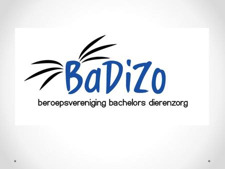 BaDiZo Een beroepsvereniging voor: