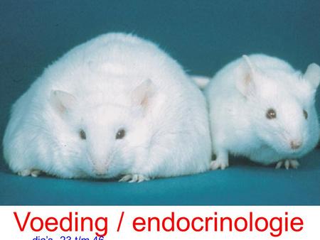 Voeding / endocrinologie