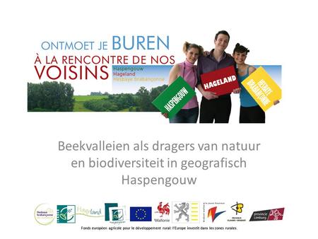 Beekvalleien als dragers van natuur en biodiversiteit in geografisch Haspengouw Fonds européen agricole pour le développement rural: l’Europe investit.