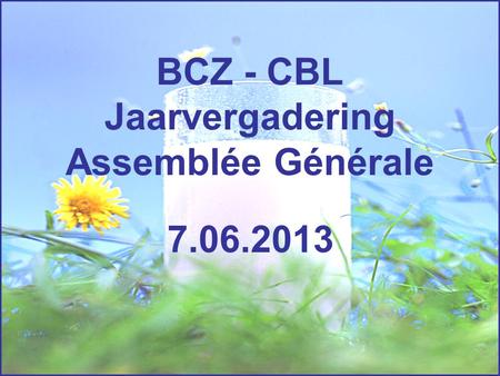 BCZ - CBL Jaarvergadering Assemblée Générale 7.06.2013.