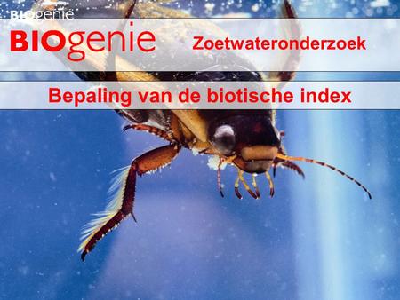 Bepaling van de biotische index