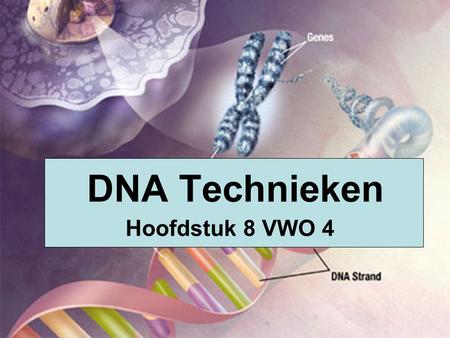 DNA Technieken Hoofdstuk 8 VWO 4.